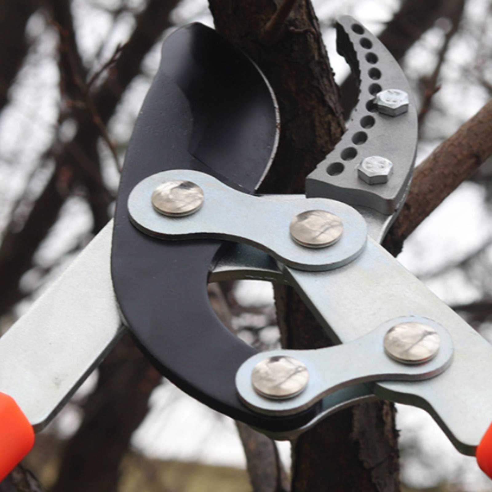 Gardening Tools Of - กรรไกรตัดกิ่งแบบยืดหดได้ ใบมีดคม กรรไกรตัดกิ่งไม้แบบทนทาน ด้ามจับสบายมือ เครื่องมือทำสวน เคลือบสารกันติด