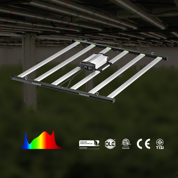 ให้ผลผลิตสูงสุดถึง 3.75 ปอนด์  - Led Grow Light บทวิจารณ์และราคา