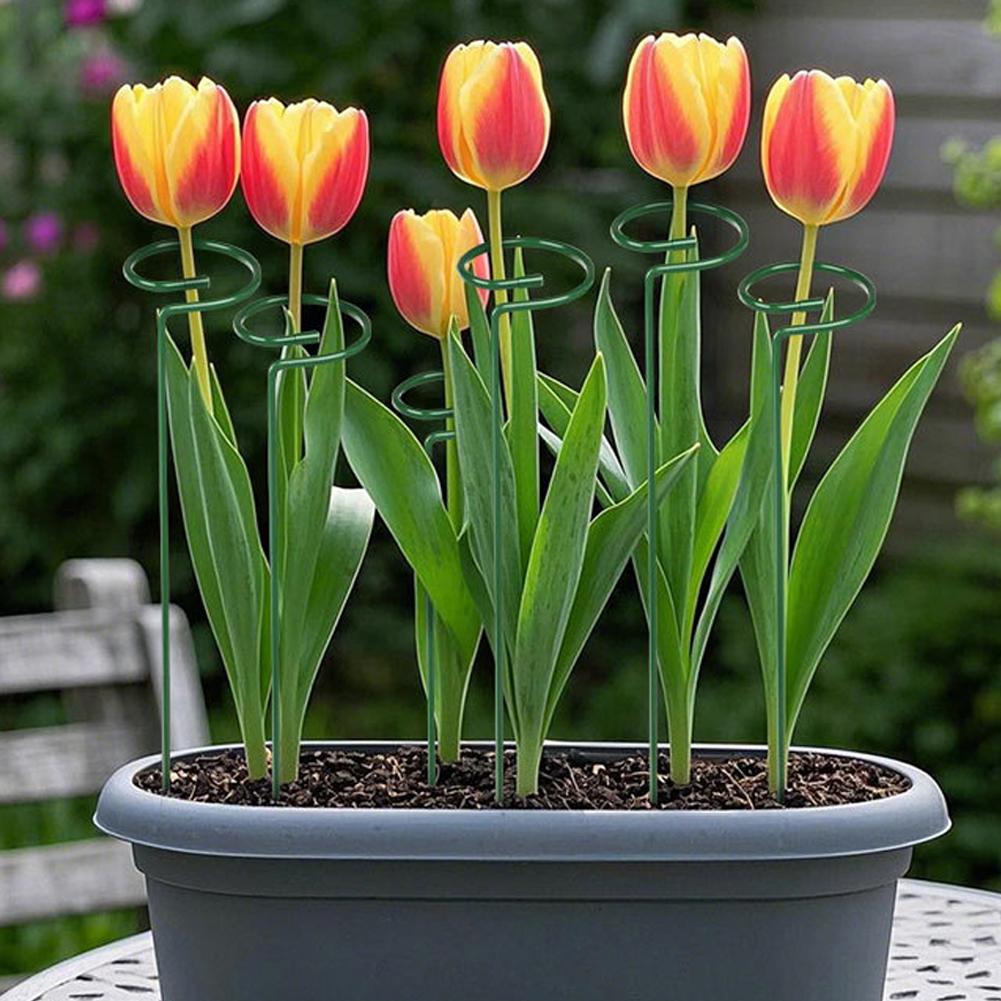 เสาค้ำต้นไม้โลหะ สำหรับสวน ดอก - Gardening Tools Range บทวิจารณ์และราคา