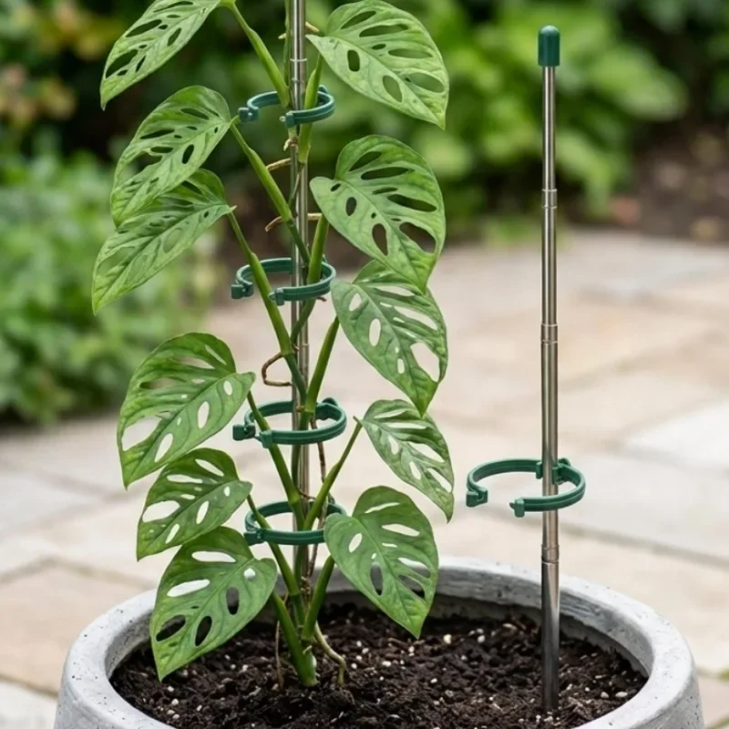 วงแหวนรองรับต้นไม้แบบยืดหดได้  - Gardening Tools Range บทวิจารณ์และราคา