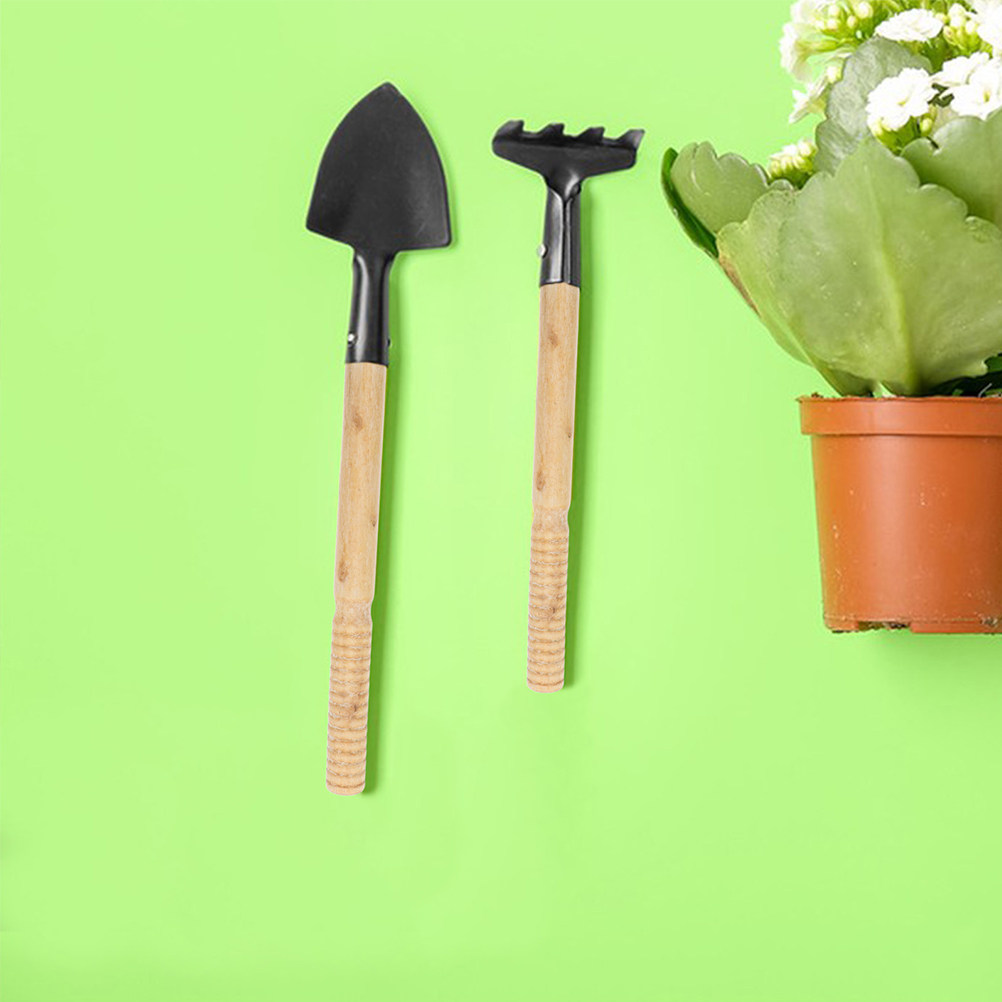 ด้ามไม้แข็งแรง 5 ชิ้น สำหรับเป - Gardening Tools Spade บทวิจารณ์และราคา