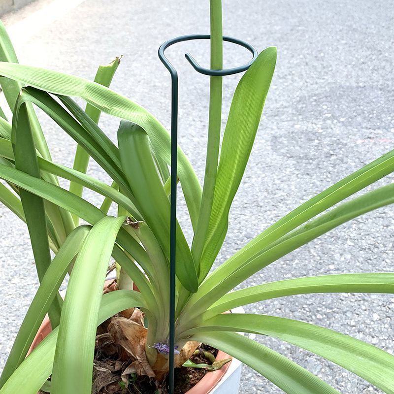 1-10pcs โลหะ SINGLE Stem พืชไม - Gardening Tools Range บทวิจารณ์และราคา