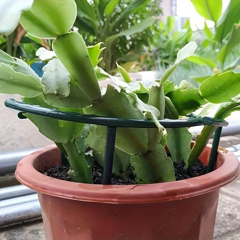 เสาค้ำต้นไม้พลาสติกแบบครึ่งวงก - Gardening Tools Range บทวิจารณ์และราคา