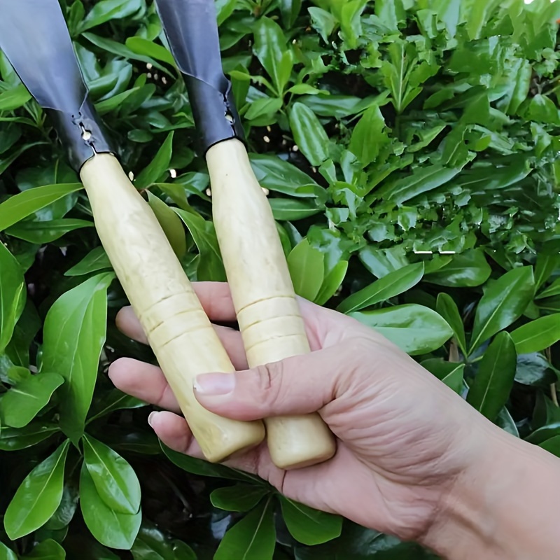 ชุดเครื่องมือพลั่วสวนสําหรับปล - Gardening Tools Spade บทวิจารณ์และราคา