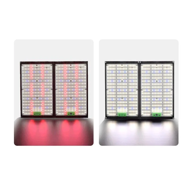 ไฟปลูกต้นไม้ LED แบบควอนตัมบอร - Led Grow Light บทวิจารณ์และราคา
